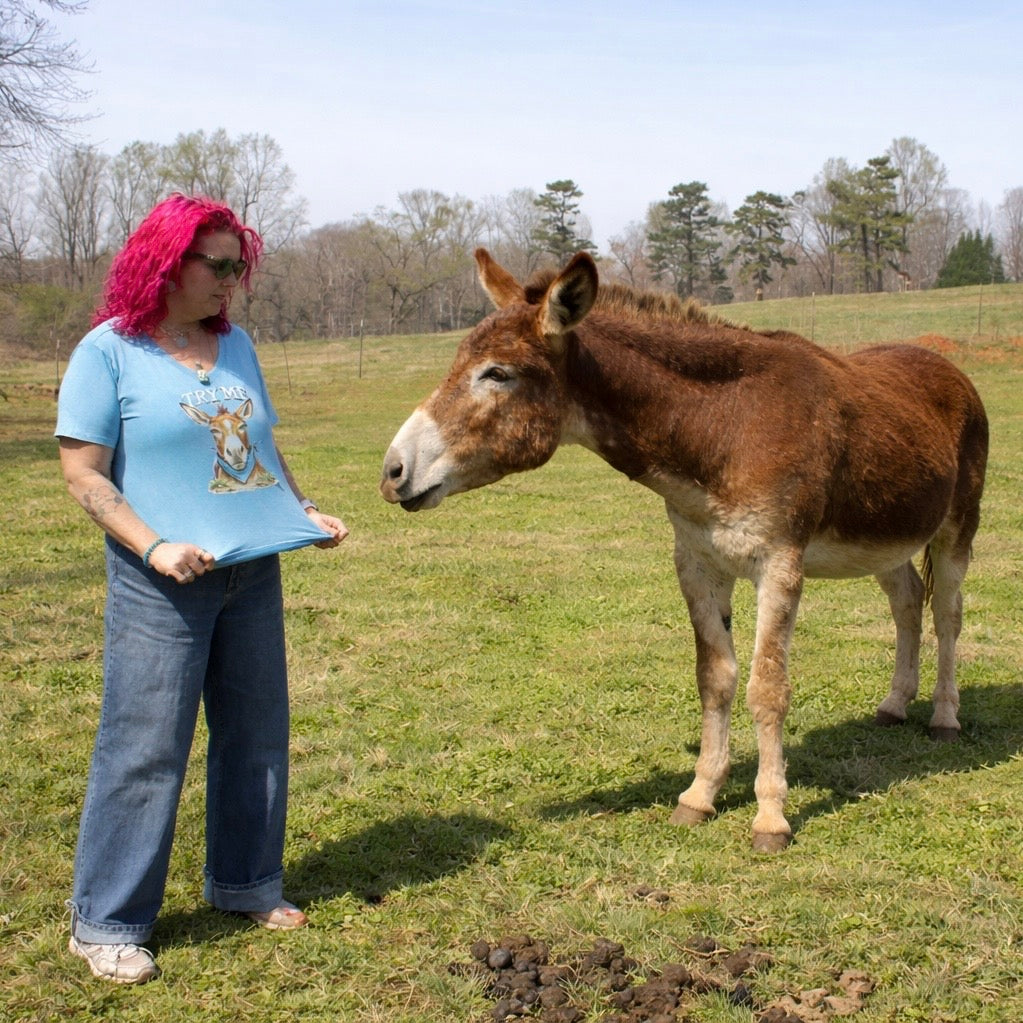 Funny Stubborn Mule Tee – Oversized V-Neck Farm Shirt
