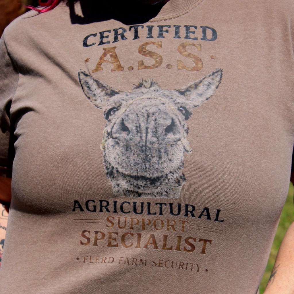 ￼Donkey T shirt