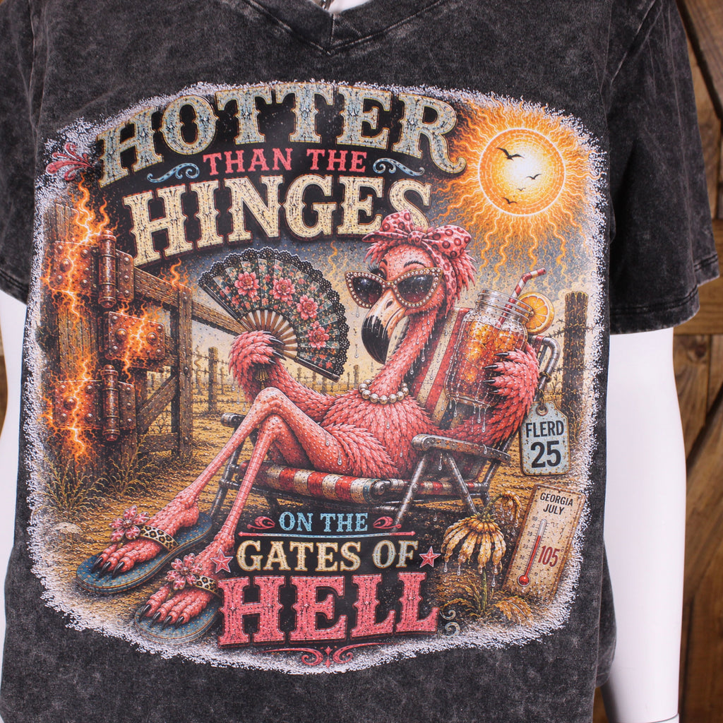 Hotter Than the Hinges Graphic Tee