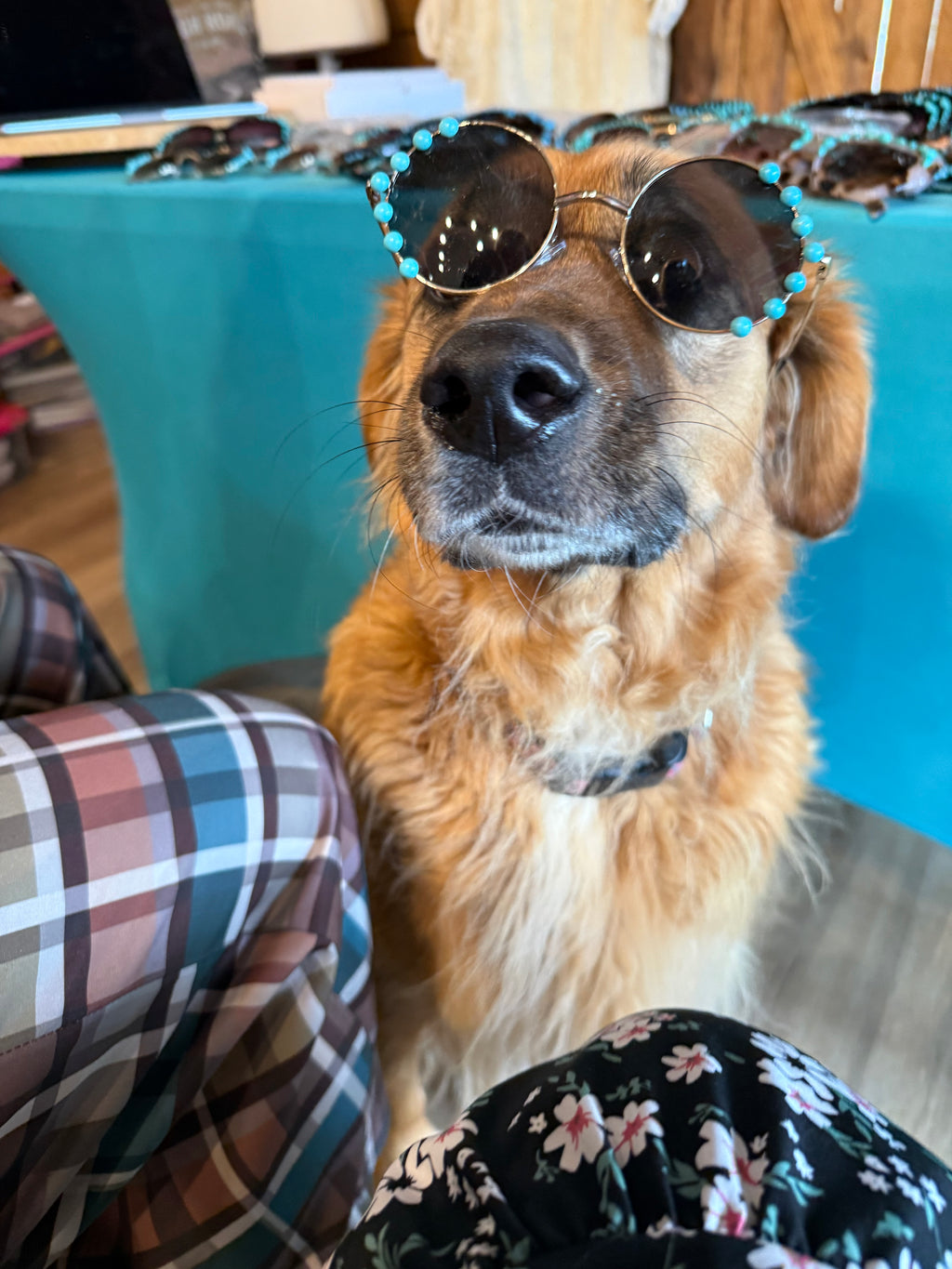 Turquoise sunglasses with round dark lenses, teal bead details on the sides