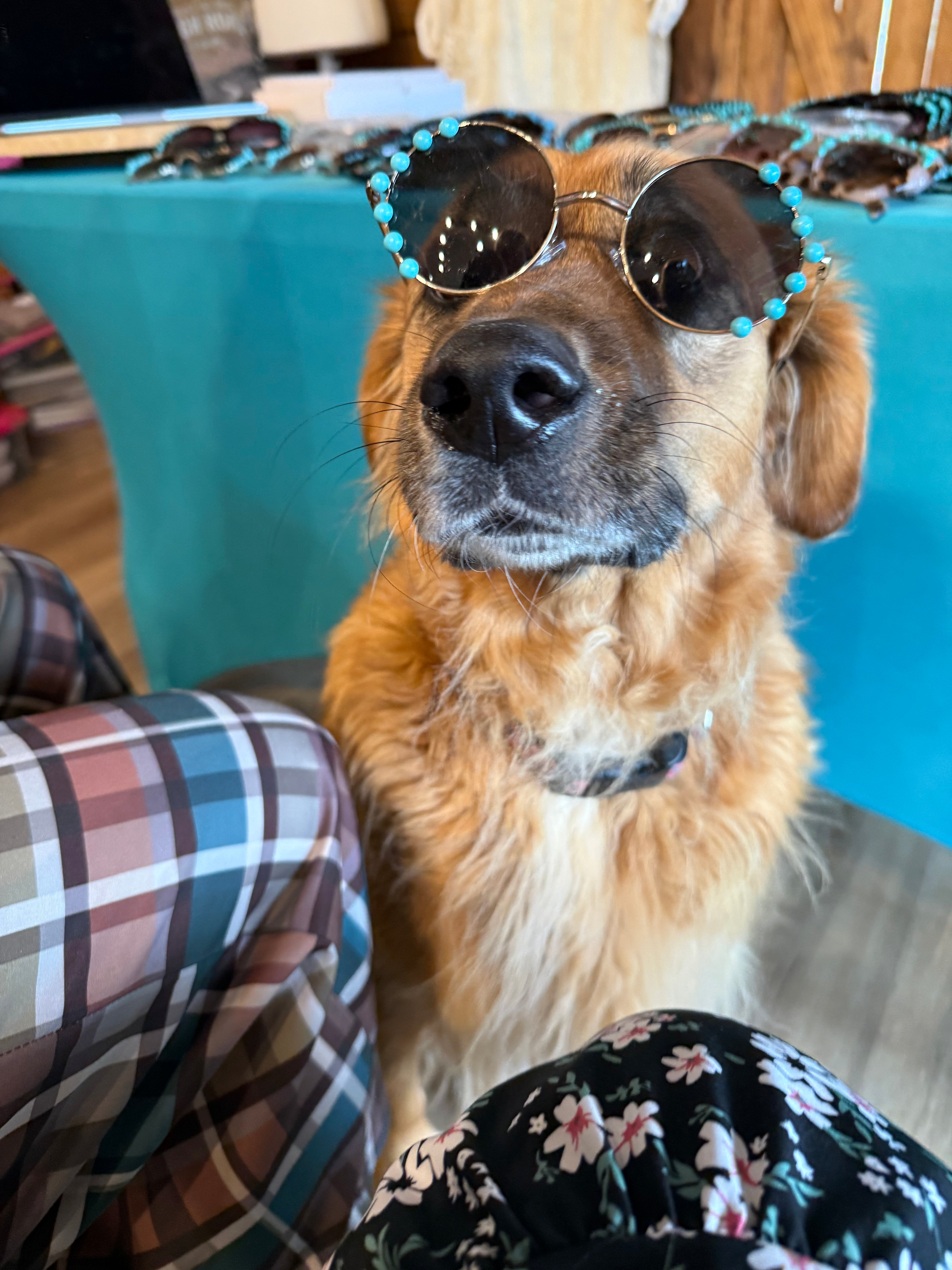Turquoise sunglasses with round dark lenses, teal bead details on the sides