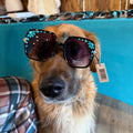 Turquoise sunglasses with black round lenses, teal beaded accents, and visible tag