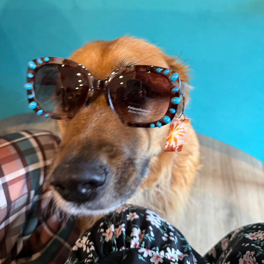 Turquoise beaded round sunglasses with gold-tone frame, top-down close-up on dog