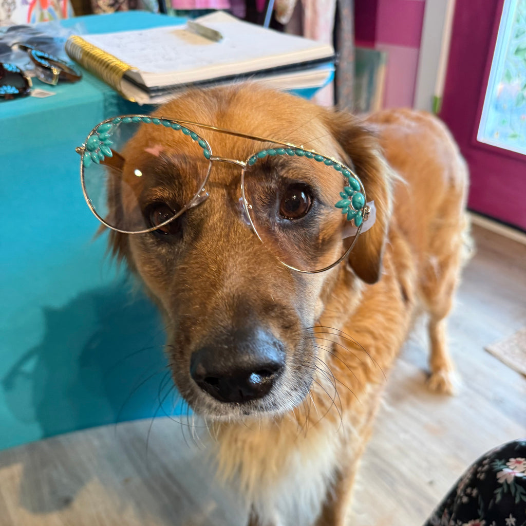 Turquoise beaded round sunglasses with gold-tone frame, three-quarter view on dog