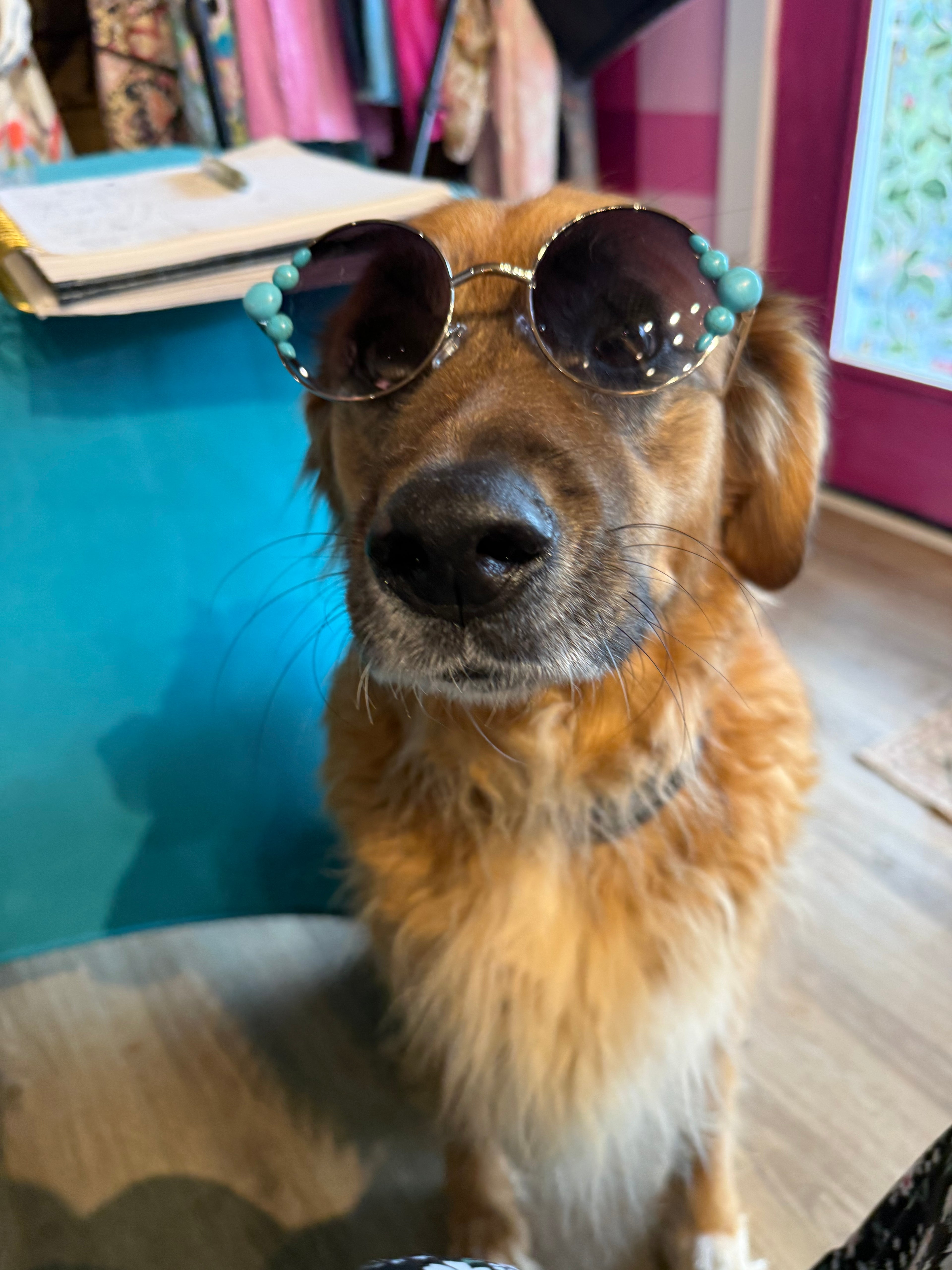 Turquoise sunglasses with black round lenses and teal bead trim across the top rim
