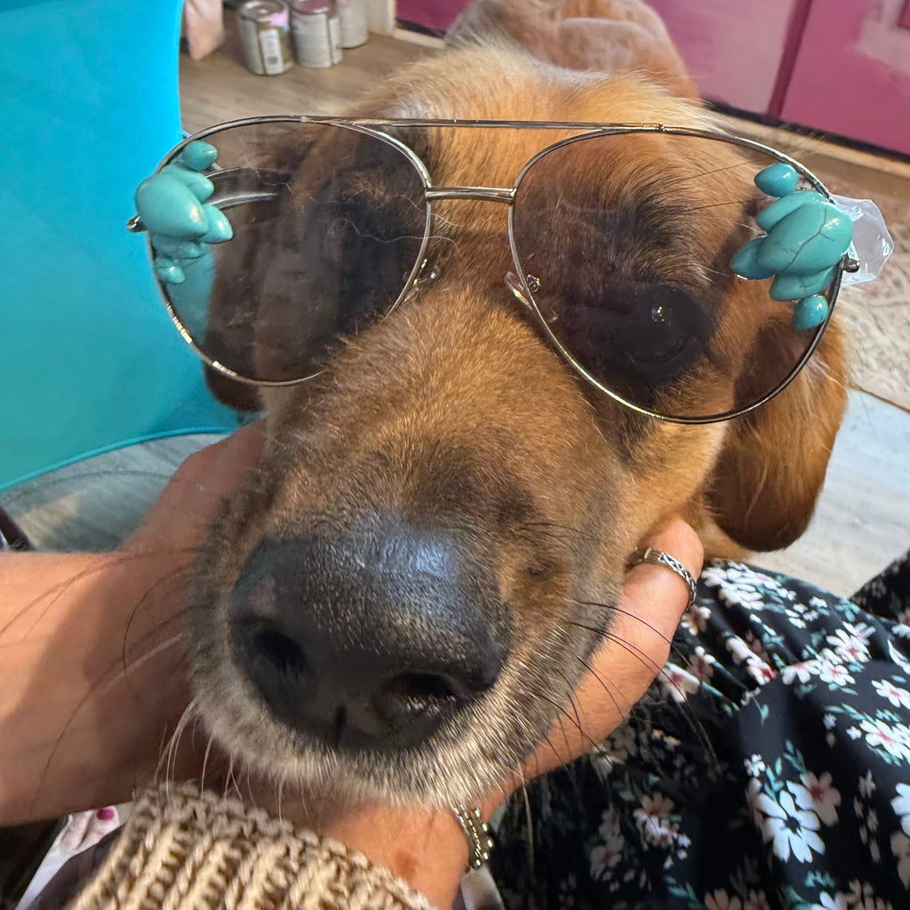 Turquoise beaded sunglasses with gold-tone frame, close-up front on dog