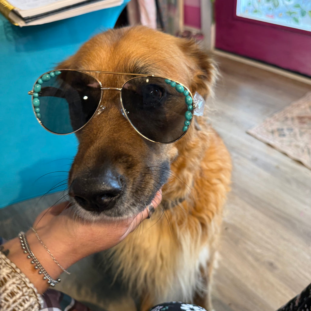 Turquoise beaded sunglasses with gold-tone frame, angled side view on dog