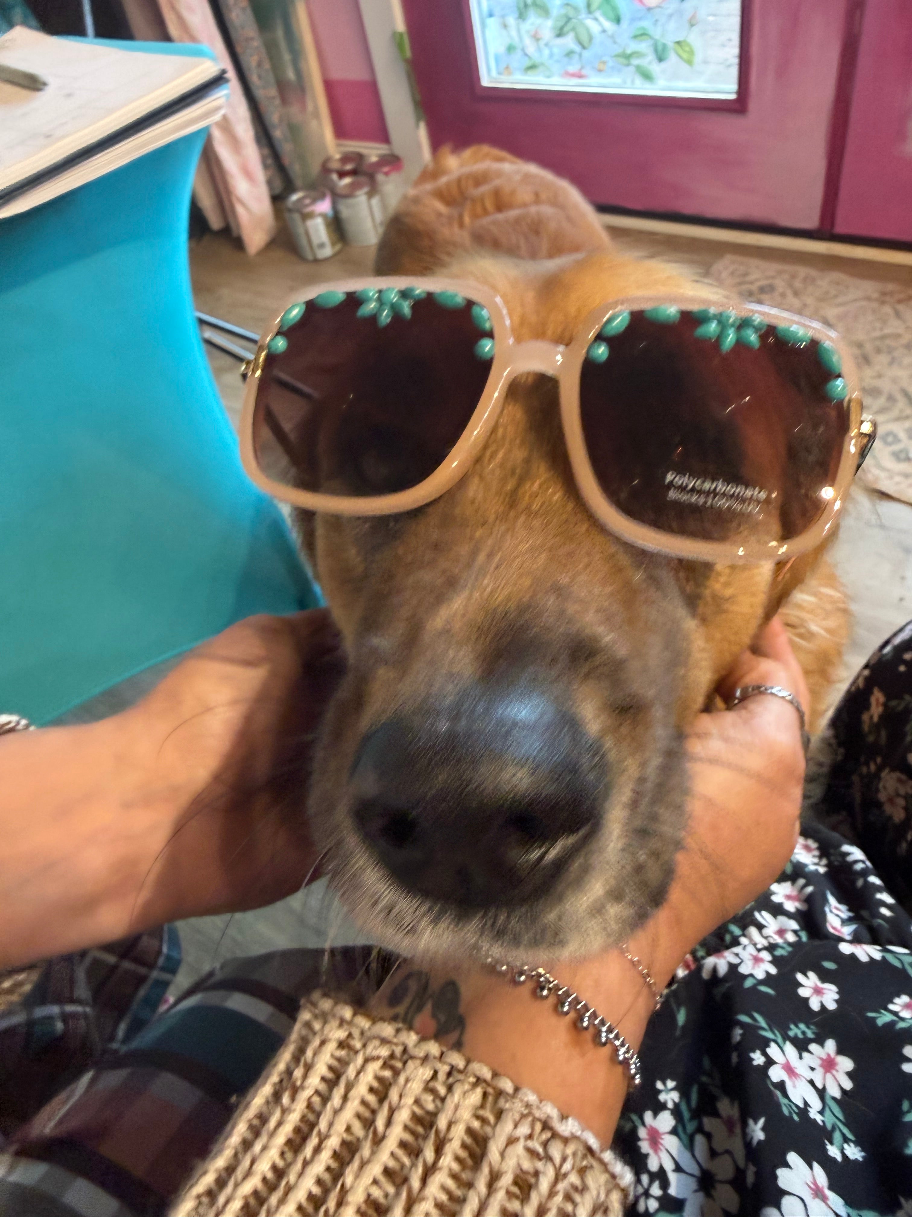 Turquoise beaded sunglasses with gold-tone frame, round lenses on dog