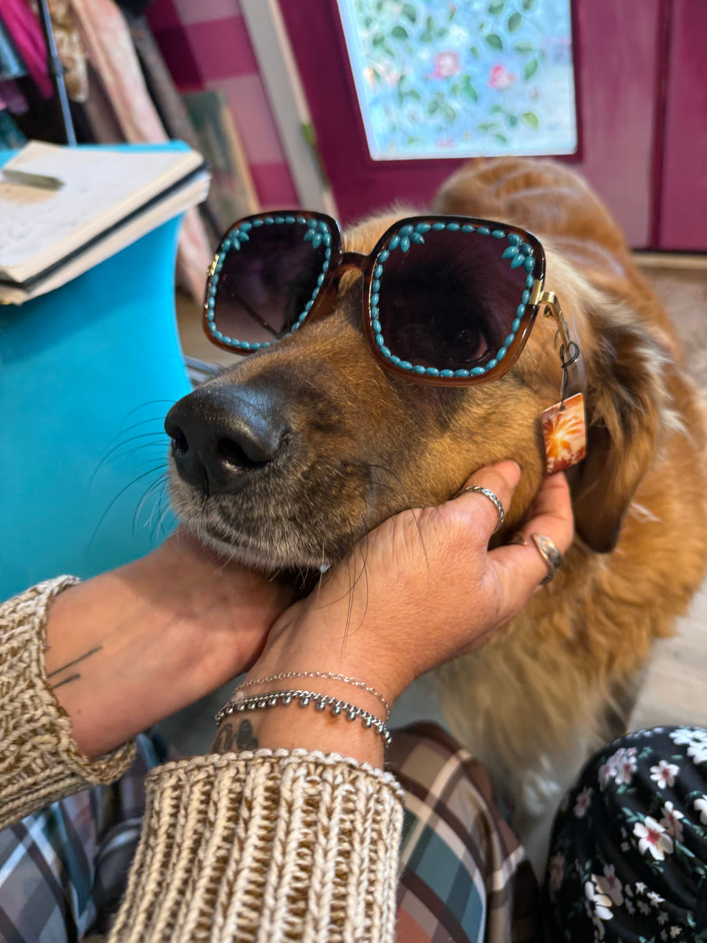 Turquoise beaded round sunglasses with gold-tone frame, close-up on dog head